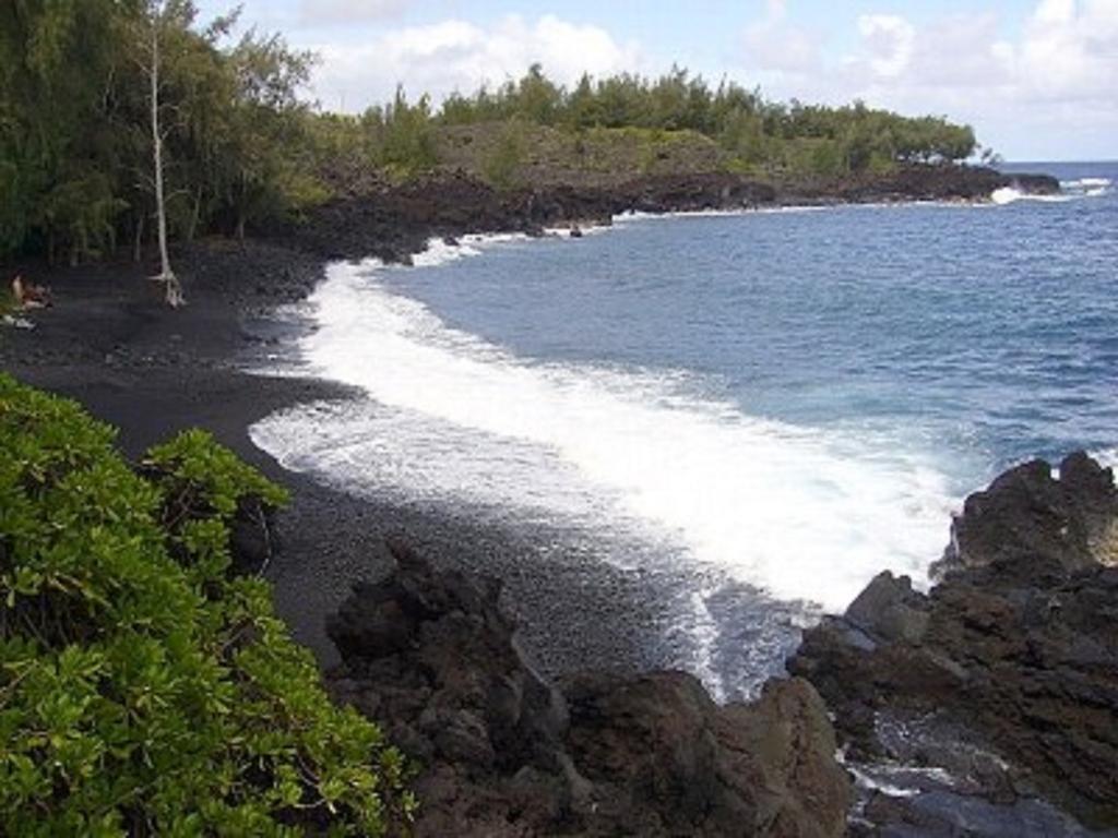 Coconut Palms Vacation Rental Near Lava Fields And Beaches Kehena المظهر الخارجي الصورة
