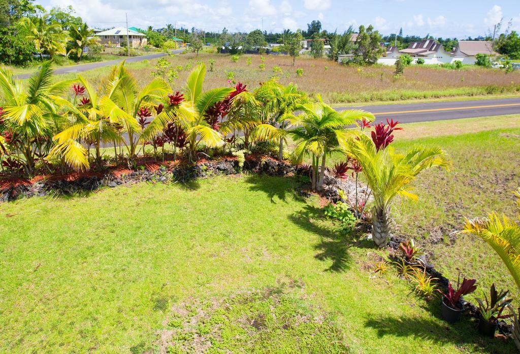 Coconut Palms Vacation Rental Near Lava Fields And Beaches Kehena المظهر الخارجي الصورة