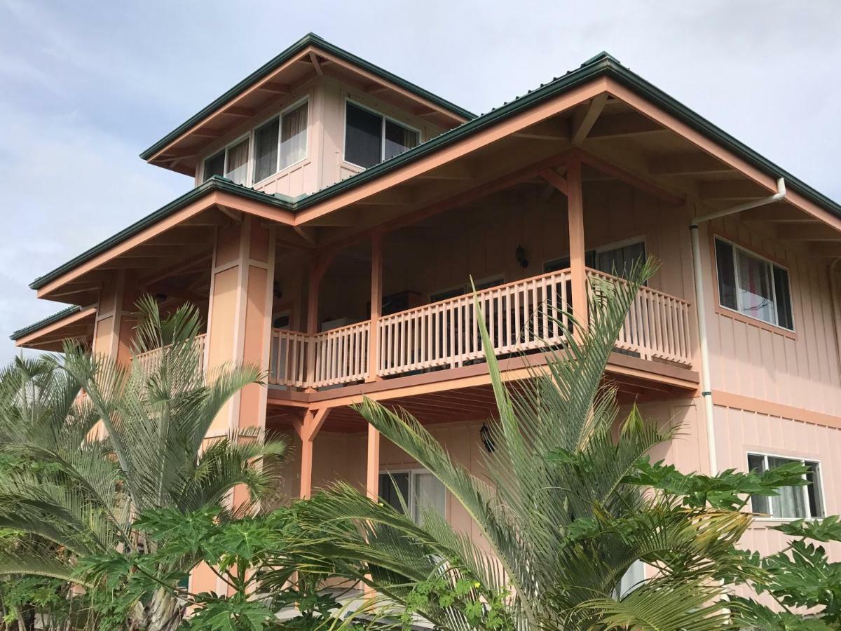 Coconut Palms Vacation Rental Near Lava Fields And Beaches Kehena المظهر الخارجي الصورة